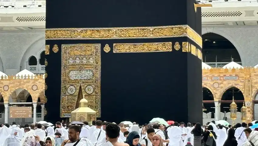 Gallery 7